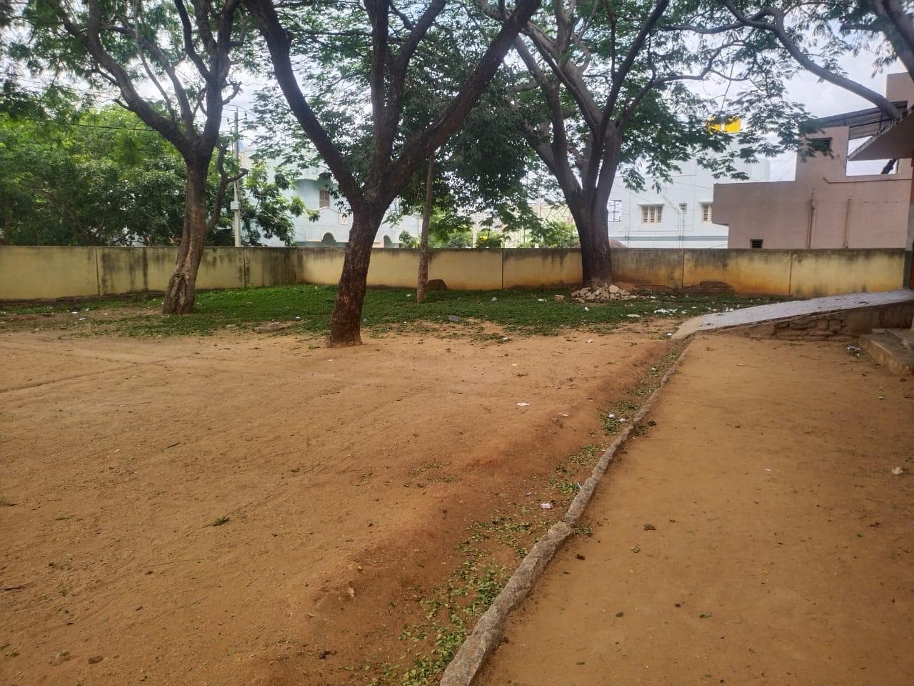 Foundation activity