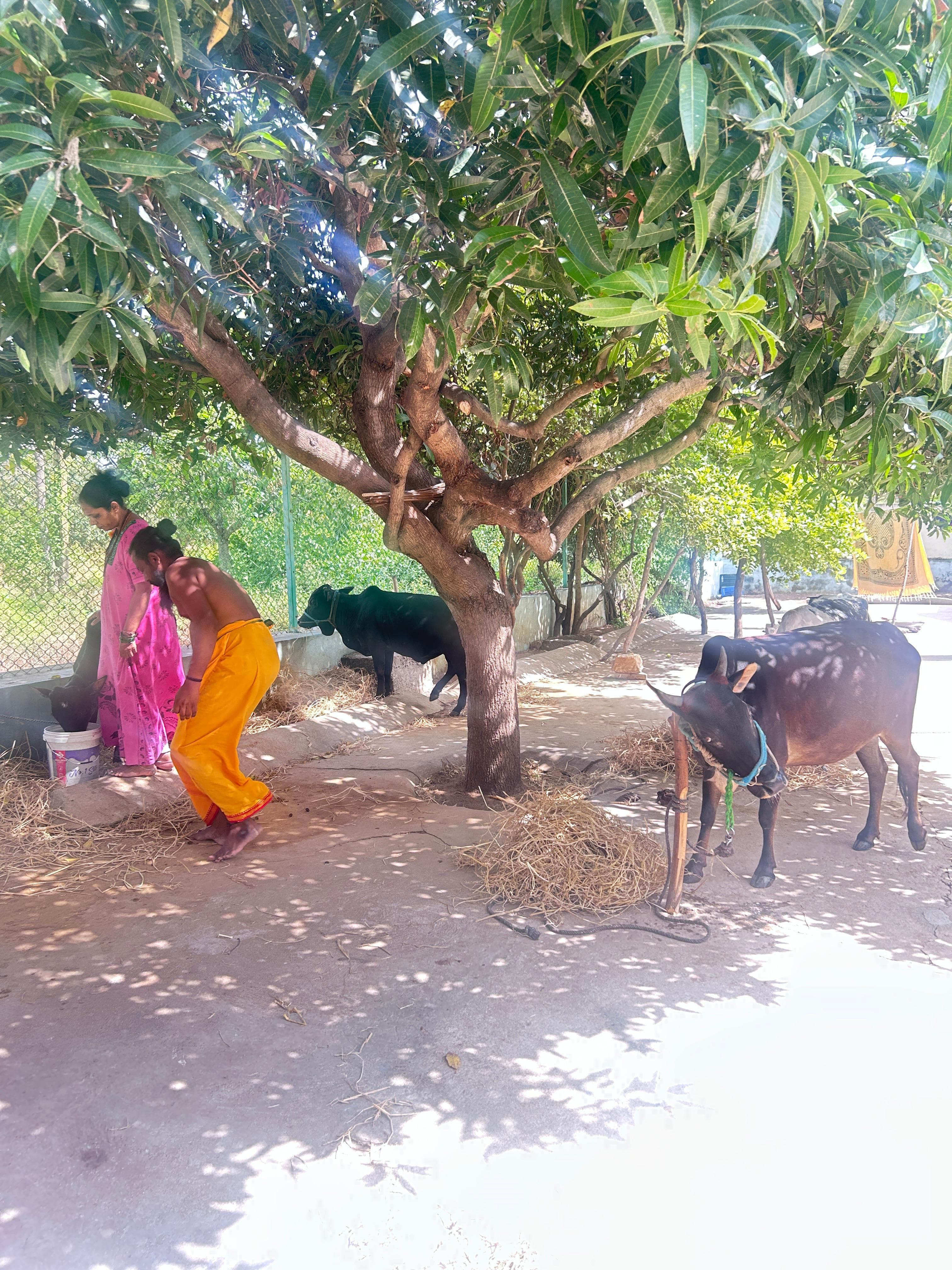 Foundation community event activity