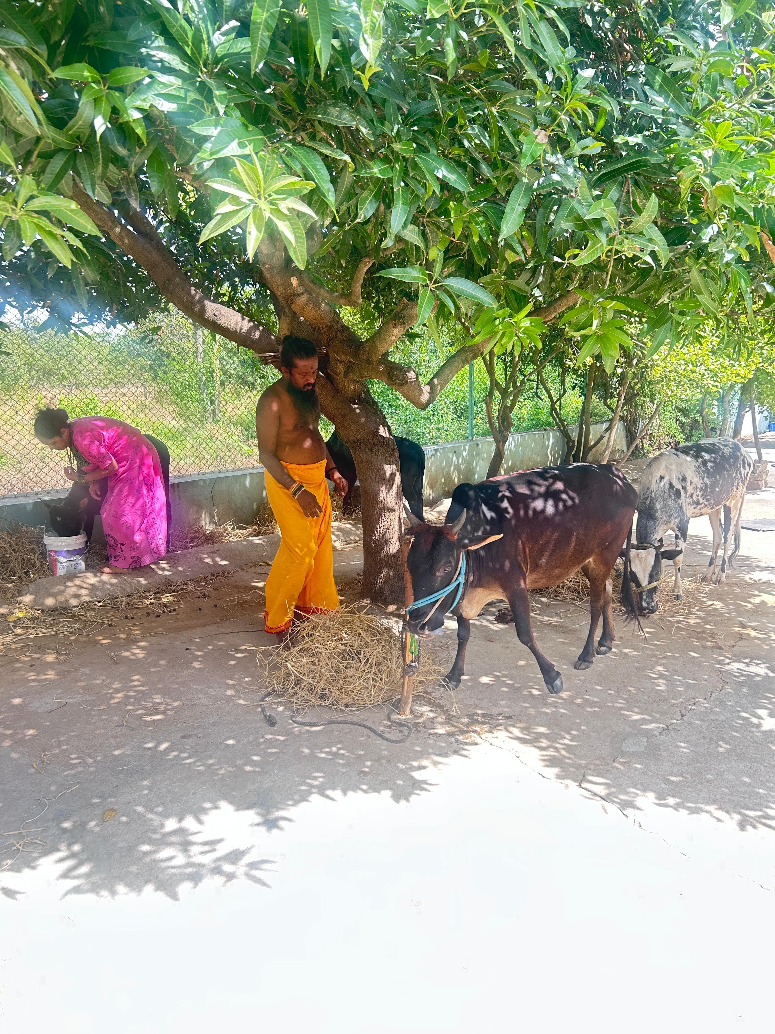 Community and spiritual activity